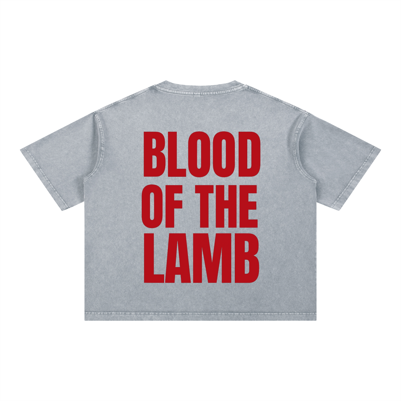 Blood Of The Lamb Boxy Cotton T-Shirt