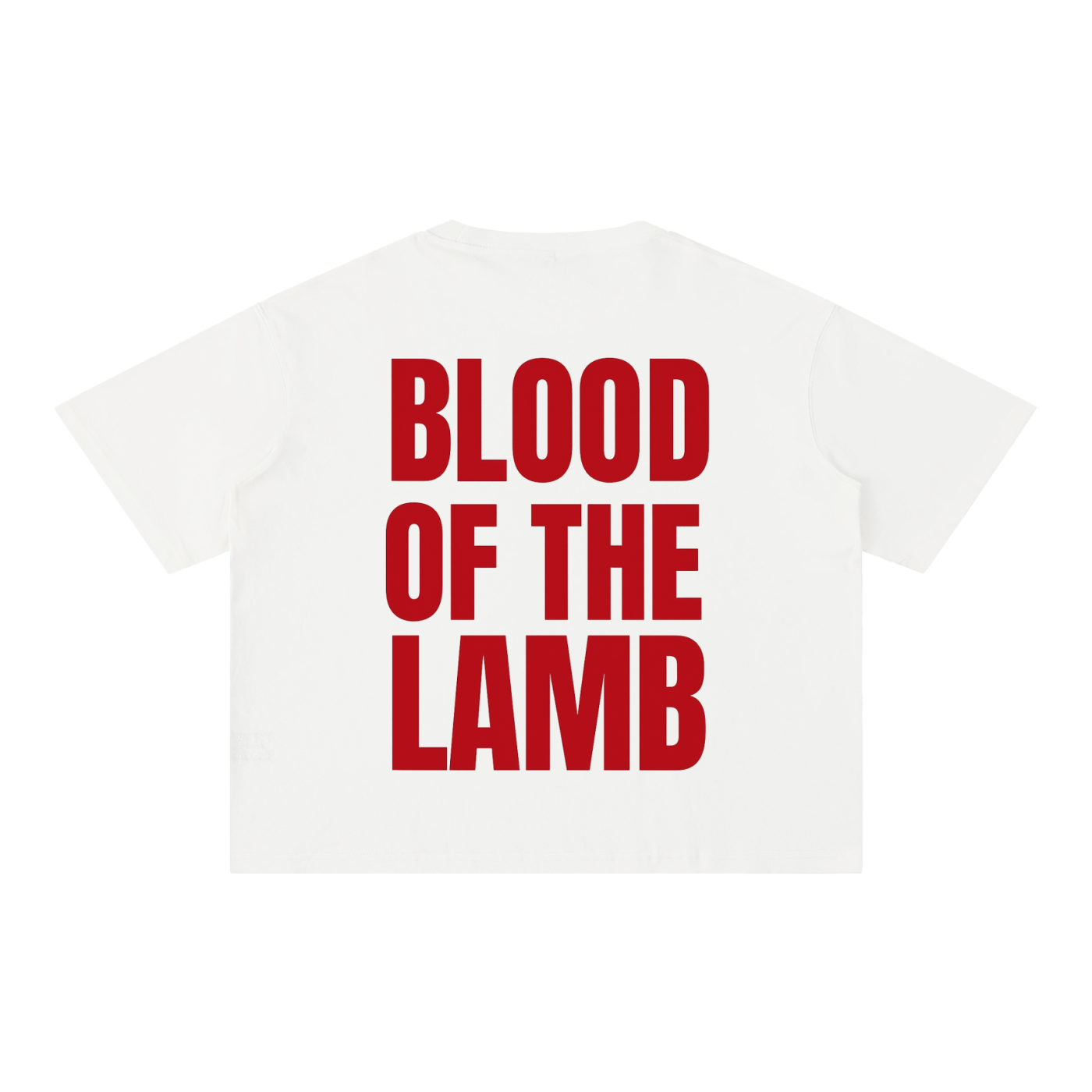 Blood Of The Lamb Boxy Cotton T-Shirt