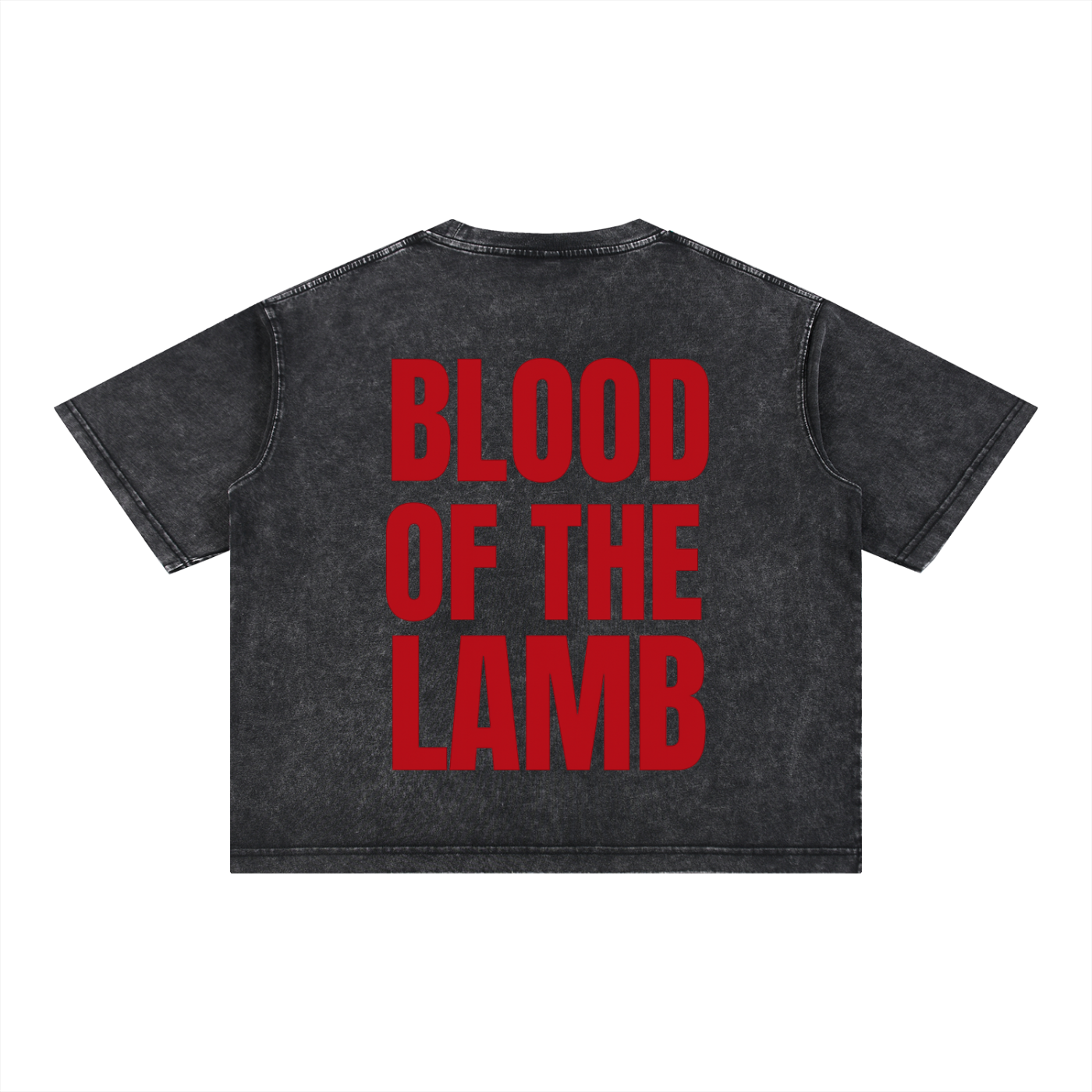 Blood Of The Lamb Tee