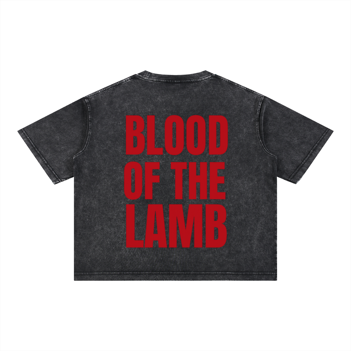 Blood Of The Lamb Boxy Cotton T-Shirt
